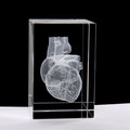 3D Model Heart - Fiier