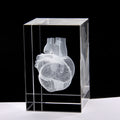 3D Model Heart - Fiier