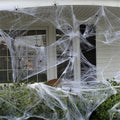 Spider Web Decore - Fiier